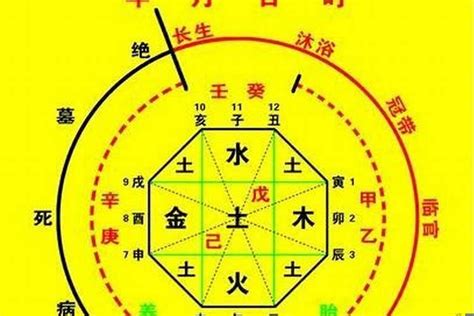 喜用神为火|八字入门基础 第六篇 如何判断八字喜用神